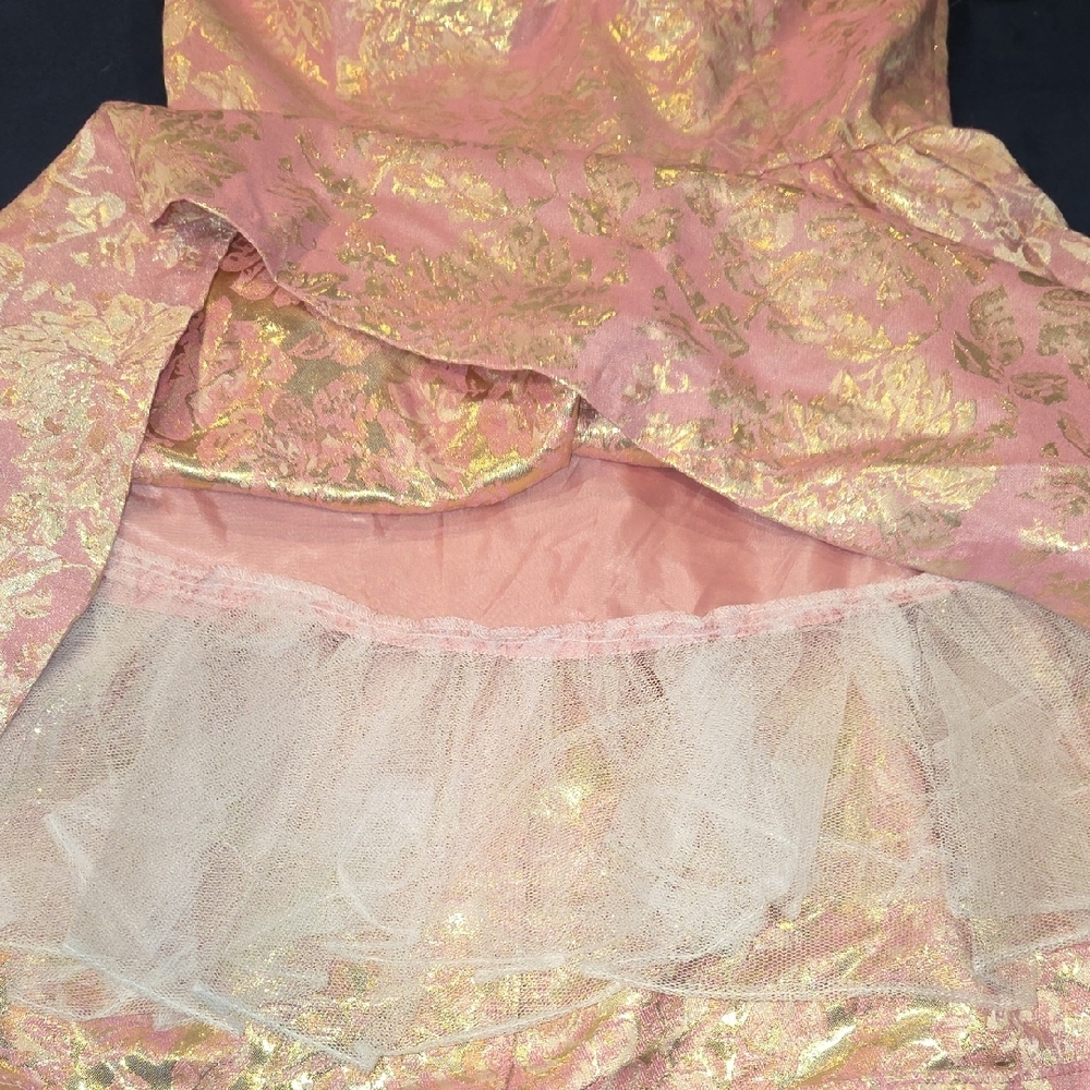 Masquerade Pink and Gold Dress - Picture 5 of 5